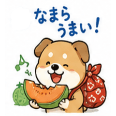 Traveling Doggy with a Furoshiki Japan