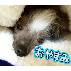 ryunosuke_20260510100123
