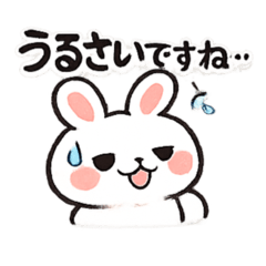 ayn_20260510104023