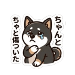 rassy1107_20260510112227