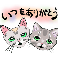 Shin_20260510134533