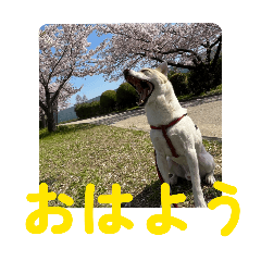 warutu_20260510134510