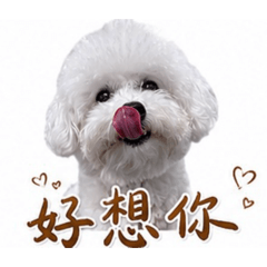 妞妞の幸福時光✨