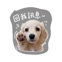 舊日萌犬