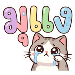 Miaw Miaw KumToh