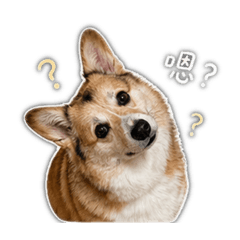 안녕 樂樂