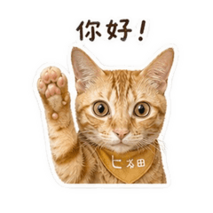 泰奶 日常