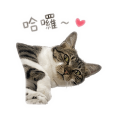 翁乖乖的生活日常