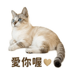 娜比小公舉呦