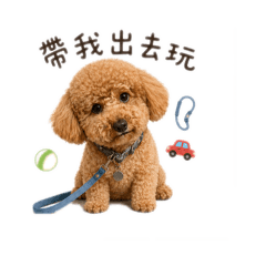 黃奇奇日常生活