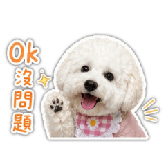 阿朵妹妹欸