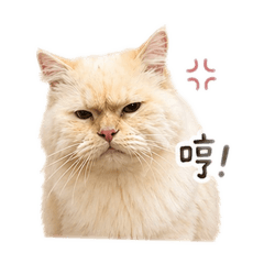 阿屁屁～