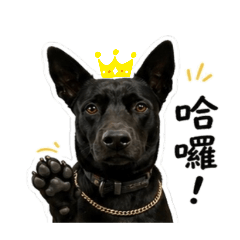 My name is kuro,我很兇