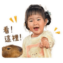 小乖卡皮巴拉