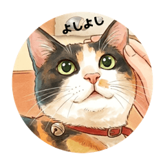 memeko_20260510141