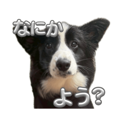 kanade_20260510141658