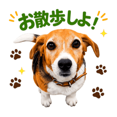 Mr.SAKUTARO