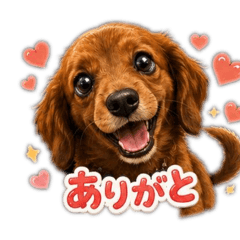 Luka Cavoodle