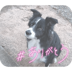 OTOHA_20260510142129
