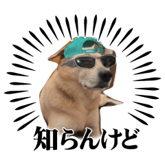 fuku_20260510142350