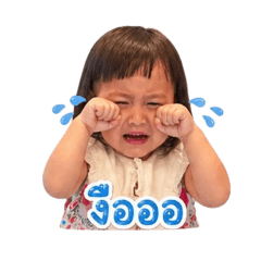 noey_20260428164517