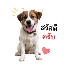 Mootoo_20260428164625