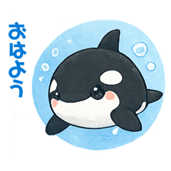 ORCA-u_mai_