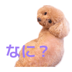 HY_20260510163417