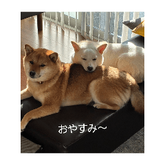 ruirui_20260510163221