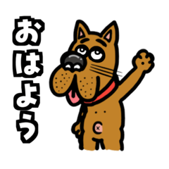 apricot_20260510163427