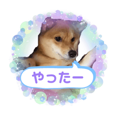 bean_20260510162734