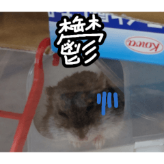 yuuchan_20260510170239