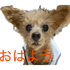 Tai_20260510175433