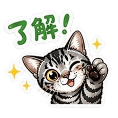 makoto.tabby_20260510190650