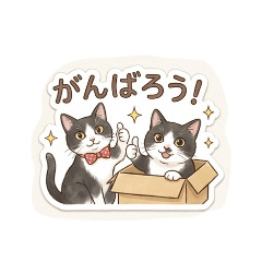 aya_20260510191707