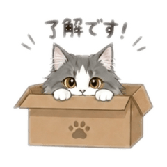Rui_20260510191749