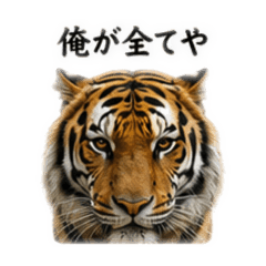 okayu_20260510190045