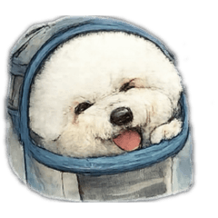 比熊丸子1