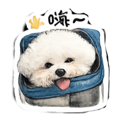 比熊丸子4