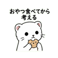 maguro_20260510133930