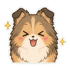 Sheltie Dusty 1