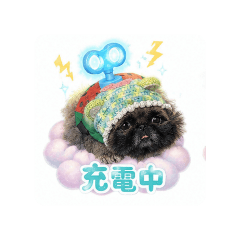 Teketekeshizukuchan_20260510153441