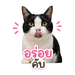 Nong_20260428164956