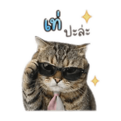 Chanom ceo999