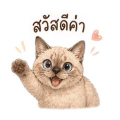 Kongkoy_20260428170924
