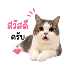 Nannaphat.pam_20260502210437