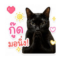 Mong Mong_20260505004606