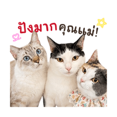 Mae Nine Babies