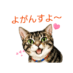 kojisaku_20260510154314