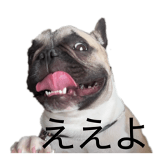 popo_20260510161438
